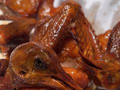-鸽子侯·家宴·平价海鲜(绿地店)