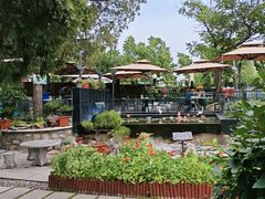 -蘇河湾·新鲁菜·泰山宴(泰山店)