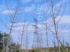 -昆山城市生态森林公园