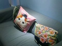 -喵的天空名猫咖啡馆·撸猫·猫舍·用品