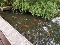 -香然会·园林雅宴(陆家嘴店)