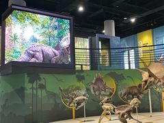 -国家自然博物馆