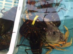 -盒马鲜生(宝地店)