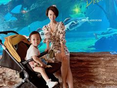 -华夏文旅海洋公园