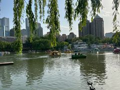 -团结湖公园