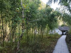 -石台牯牛降景区
