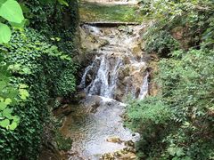 -南海湾森林生态园