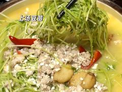 -绿野仙踪·印象(香樟名都店)