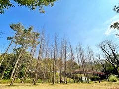 -牛岗山公园