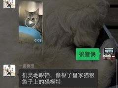 -中农国际动物医院24小时·猫科·骨科·急重症中心