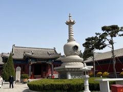 -天津大悲禅院