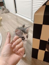 -悦色美甲美睫·精品