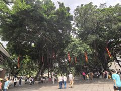-荔湾湖公园