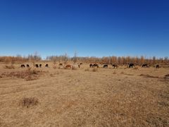 -塞罕坝国家级自然保护区