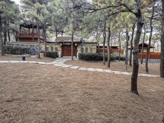 -东海森林温泉度假酒店
