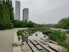 -大望京公园
