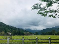 -瑞穗牧场