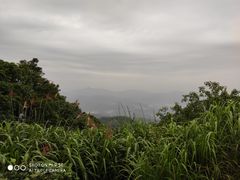 -广州市帽峰山景区