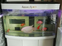 -尚水元休闲自助餐厅(淄川店)