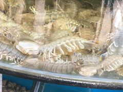 -蟹谢蒸鲜自助餐厅