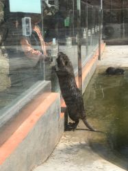 -童心园麦窑·儿童拓展探宝乐园