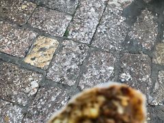 -内涵饵块