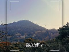 -华清宫景区