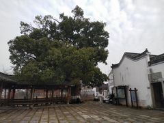 -东梓关景区村庄