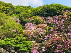 -梧桐山风景名胜区