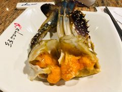 -普乐酱蟹(coex店)