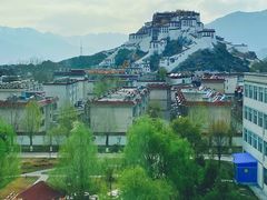 -平措康桑·和牛自助观景餐厅(布达拉宫店)