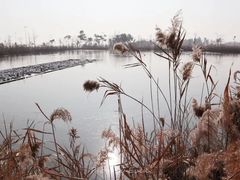-鹦鹉洲湿地公园