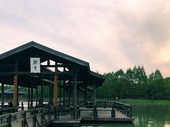-渤公岛生态公园