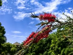 -上海吴淞炮台湾国家湿地公园