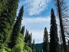 -新疆那拉提国家旅游度假区