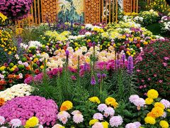 -上海共青森林公园