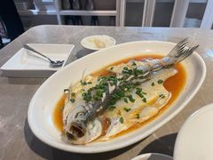 糟蒸白鱼-杭州酒家(庆春路店)