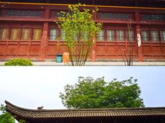 -莲湖公园