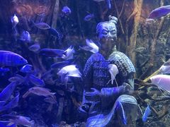 -华夏文旅海洋公园