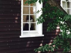 -三鹰之森吉卜力美术馆