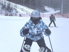 -亚布力新体委滑雪场