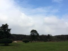 -艾溪湖湿地公园