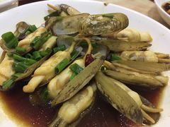 姜葱炒蛏子-红灯笼龙凤饭店(宁波老字号店)