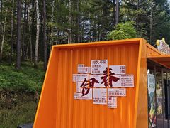 -汤旺河林海奇石景区
