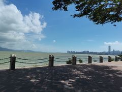 -华润深圳湾体育中心-“春茧” 体育馆
