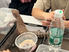 -凯德广场(武胜路店)