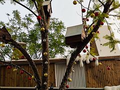 -首开·龙湖成都西宸天街