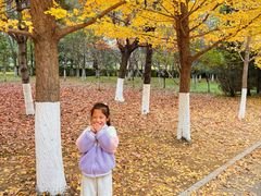 -长白岛森林公园