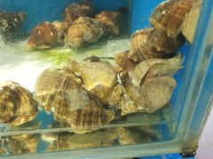 -海味当家(西安路店)