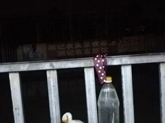 -润记农家菜
